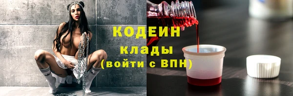 дмт Дмитров