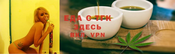 дмт Дмитров