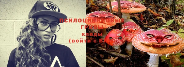 бошки Гусь-Хрустальный