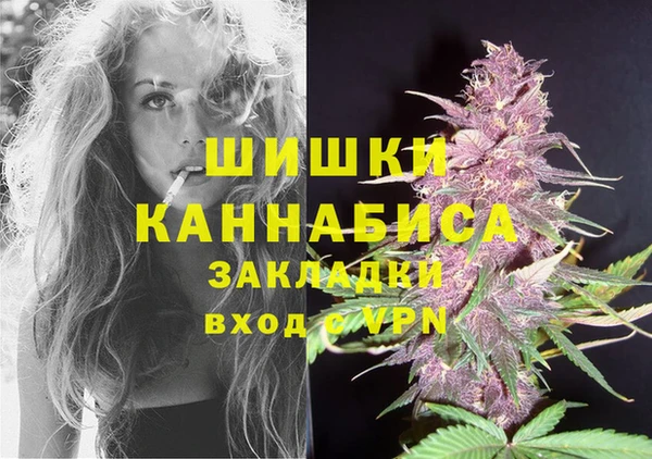 дмт Дмитров