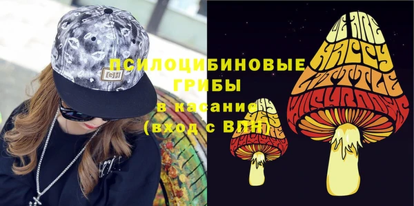 бошки Гусь-Хрустальный